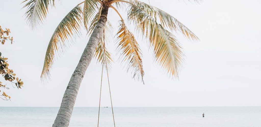 ryan-christodoulou-627843-unsplash ryan-christodoulou-627843-unsplash
